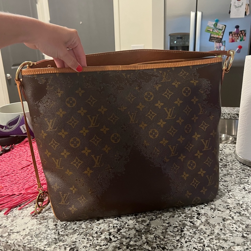 COPY - Louis Vuitton Delightful MM